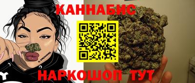 стаф Пенза