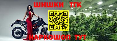 стаф Пенза