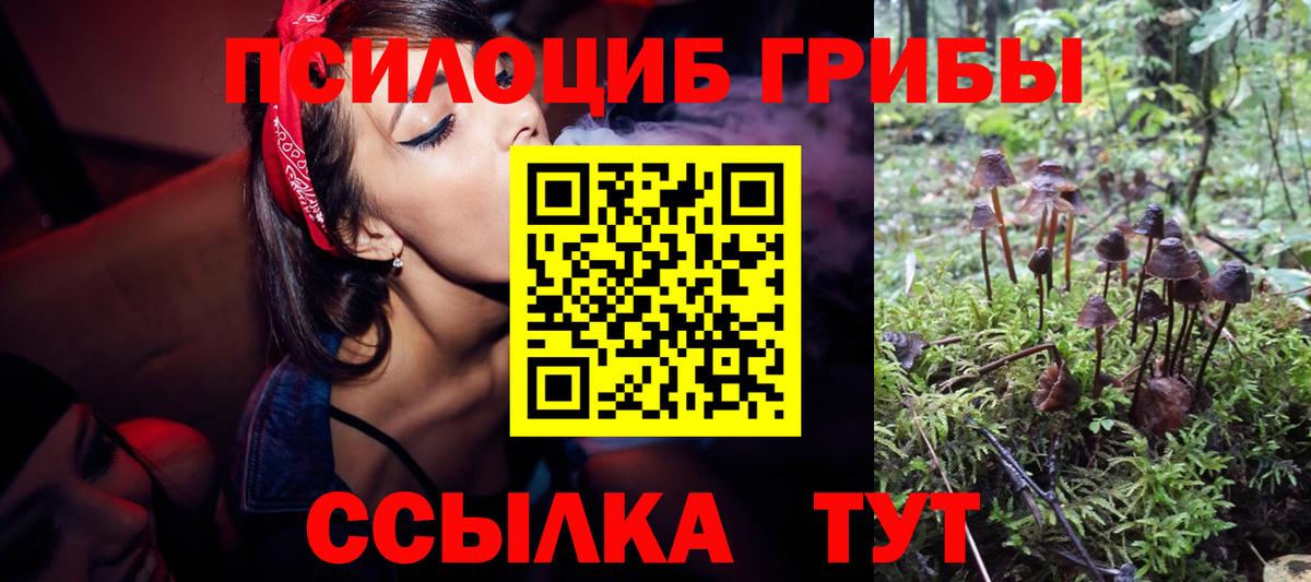 Родники  Галлюциногенные грибы мухоморы  Вход с VPN 