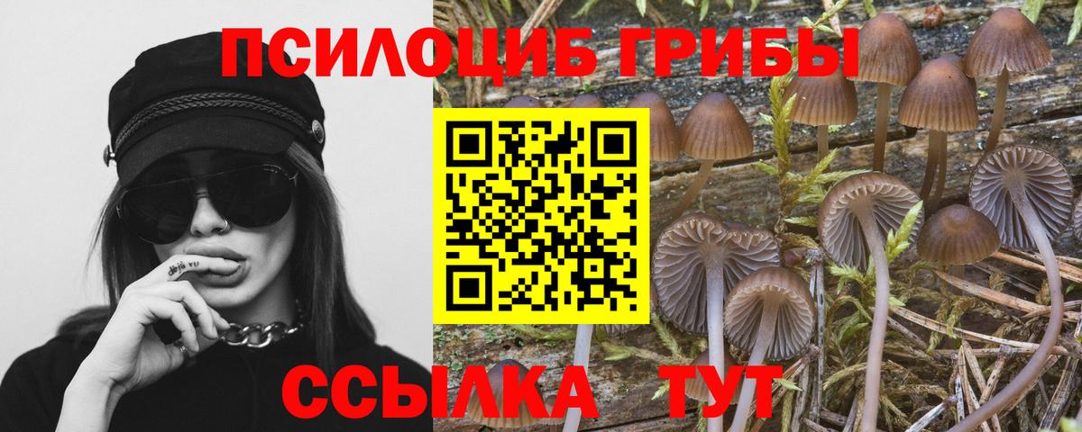 Галлюциногенные грибы мухоморы Родники